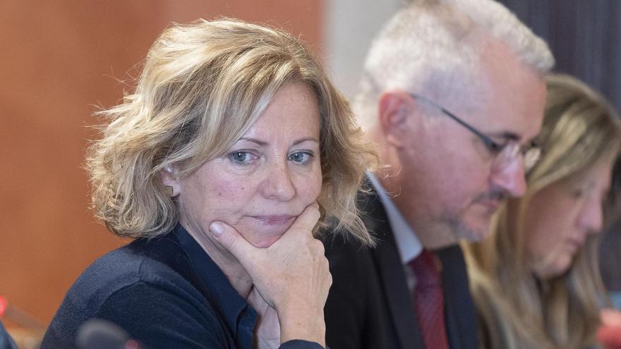 Mònica de Llorens, defensora aquest dijous d'una moció de Junts sobre el comerç, i Joan Vila, al ple municipal