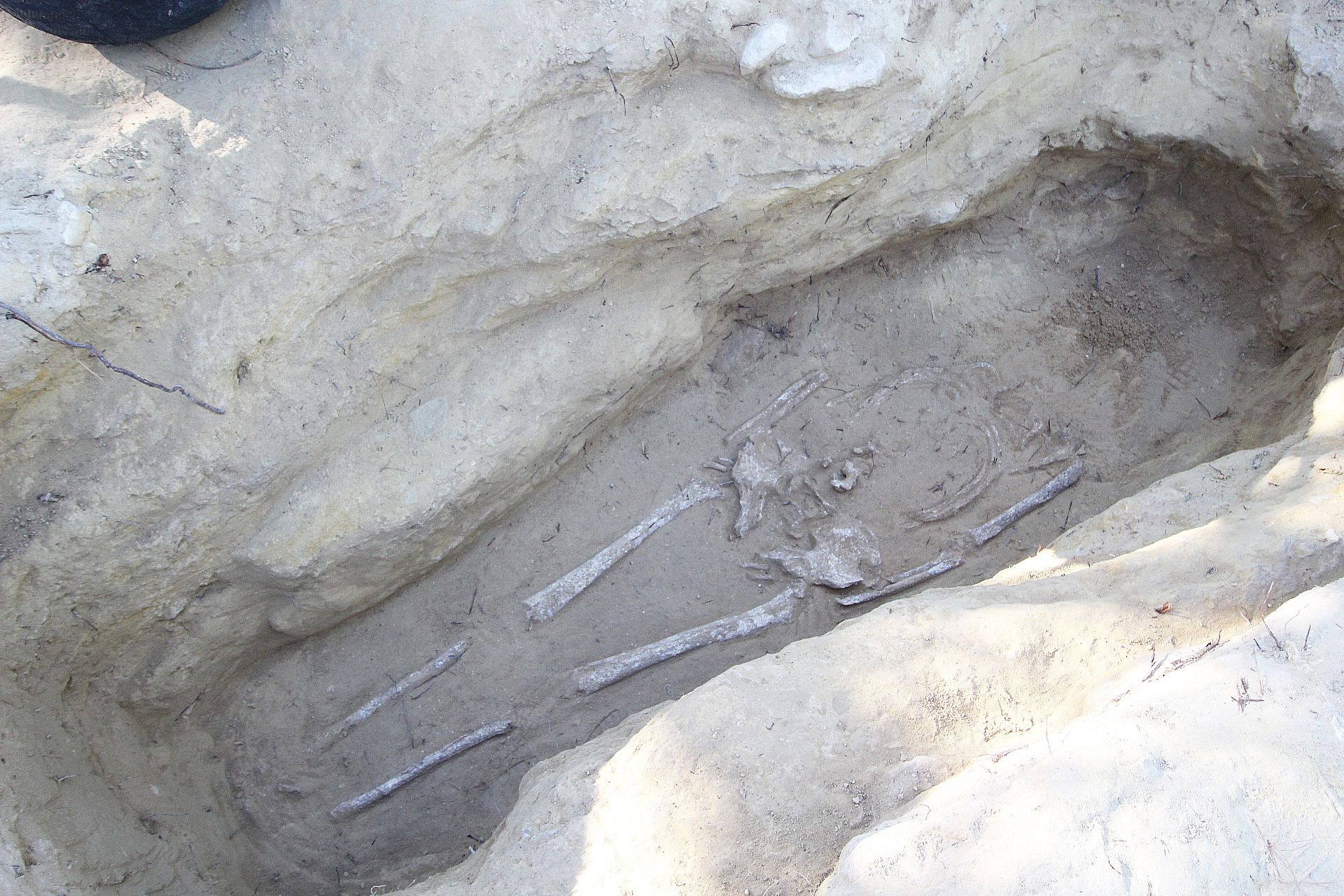 Una de las fosas halladas en el yacimiento del cerro del Molino de Rojales