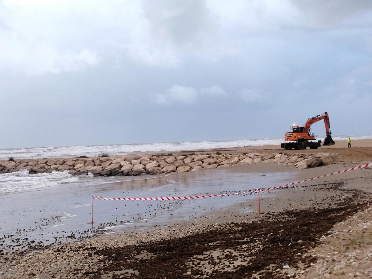 Una máquina de las obras de regeneración recién iniciadas de la playa de les Deveses