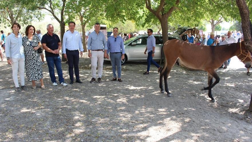 La Feria del Ganado reúne 90 cabezas equinas en Lucena