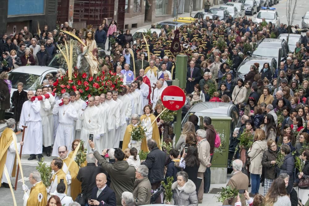 procesion borriquilla