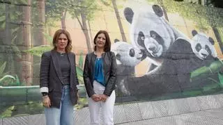 Familia de osos panda en la Pola: Dolky finaliza el nuevo grafiti de Siero, el primero de Muralia 2024