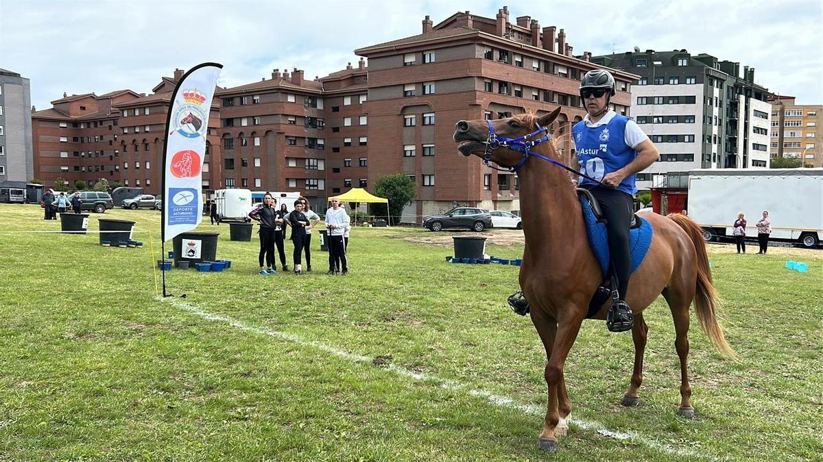 EN IMÁGENES: Así fue el certamen canino "Canstrillón" de Piedras Blancas por San Isidro