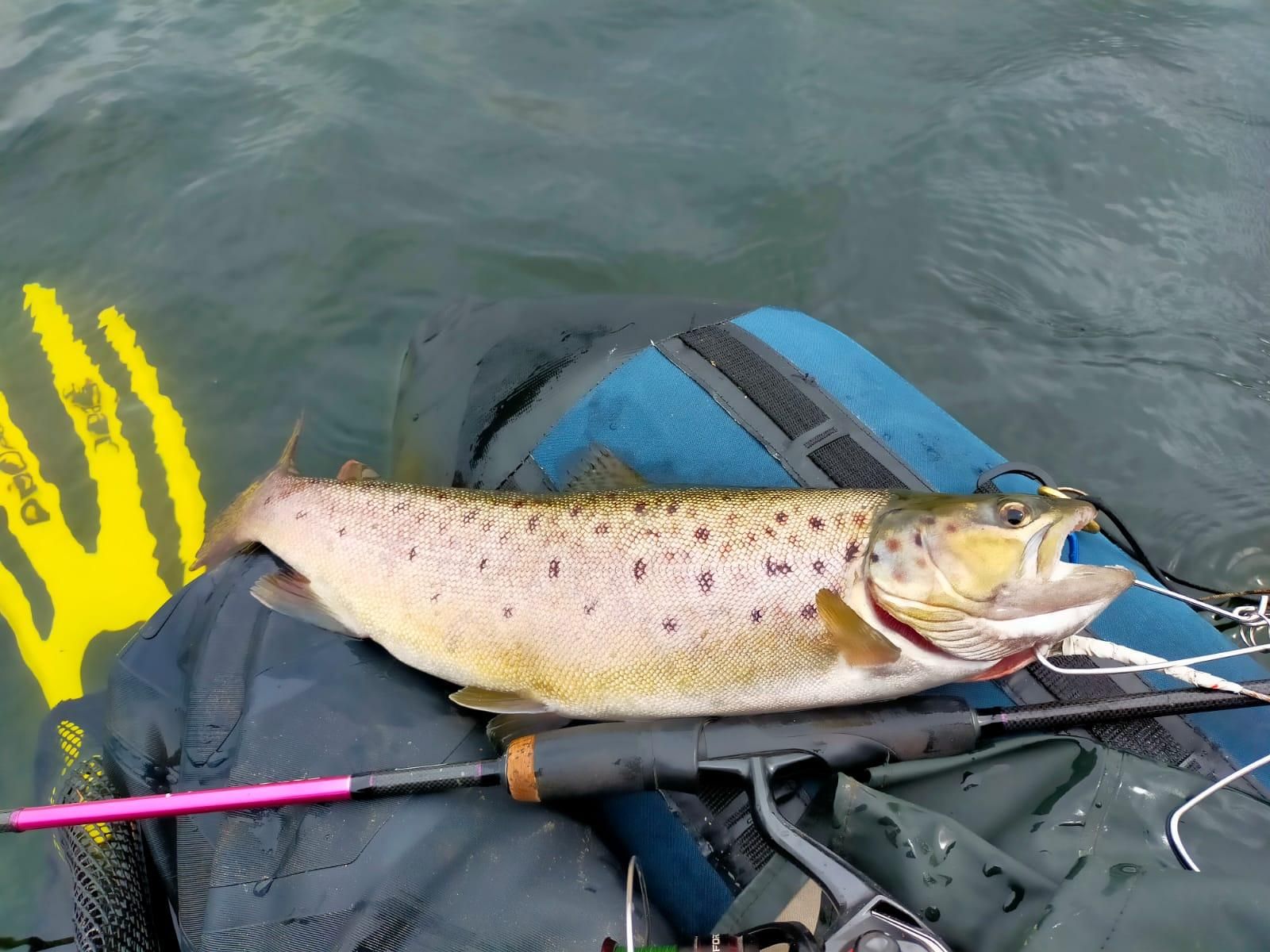 La temporada de pesca continental ha comenzado, pero solo para la trucha, ya que el salmón y el reo esperarán al 1 de mayo.