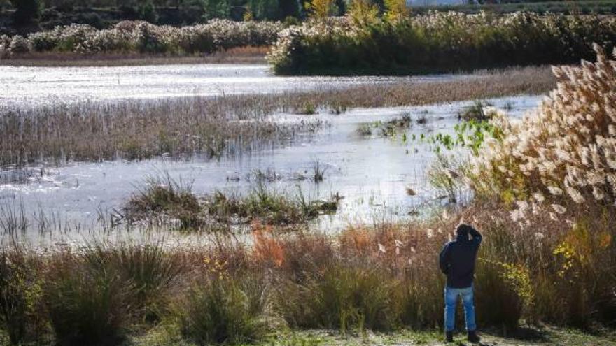 Aspecto que presenta en estos momentos la albufera de Gaianes como consecuencia de las lluvias registradas en los meses de octubre y noviembre.