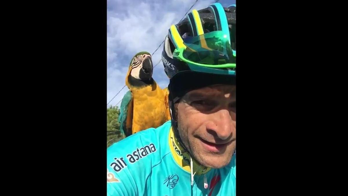 Michele Scarponi y 'Frankje', el loro que lo sigue en los entrenamientos