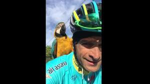 segea36436391 twitter de michele scarponi161127181436