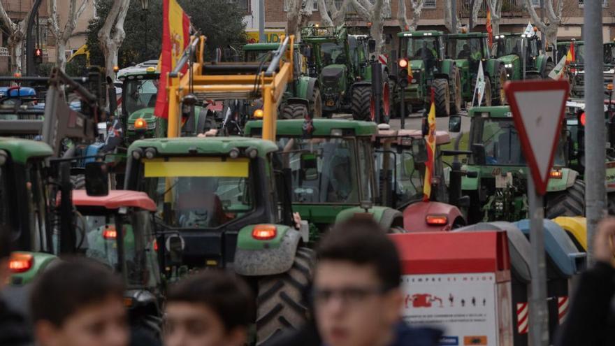 La prima de Herodes vive en Bruselas