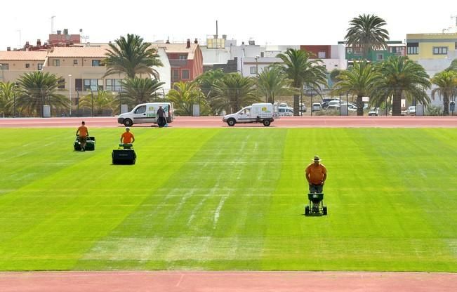 EL HORNILLO CIUDAD DEPORTIVA UD LAS PALMAS