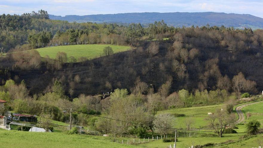 Un incendio arrasa nueve hectáreas entre Barcia y Laro | BERNABÉ/LUCÍA ABELEDO