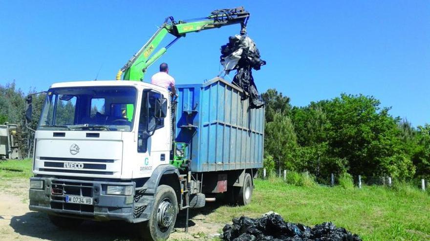 Retirada de plásticos, ayer, delante de la cooperativa Campodeza.