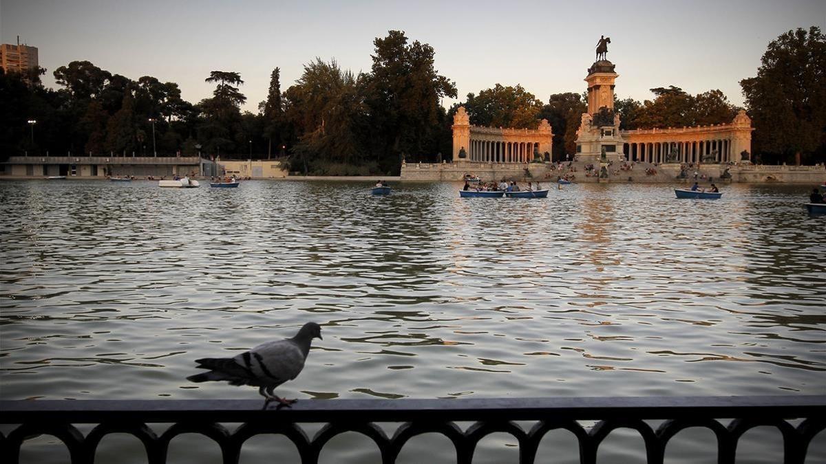 zentauroepp23505240 madrid  05 09 13  lago del parque del retiro en madrid  dond180324142353