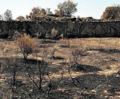 Una finca quemada