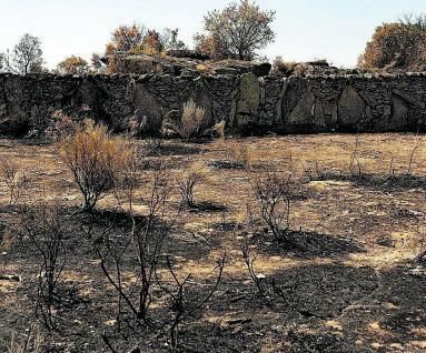 Una finca quemada 