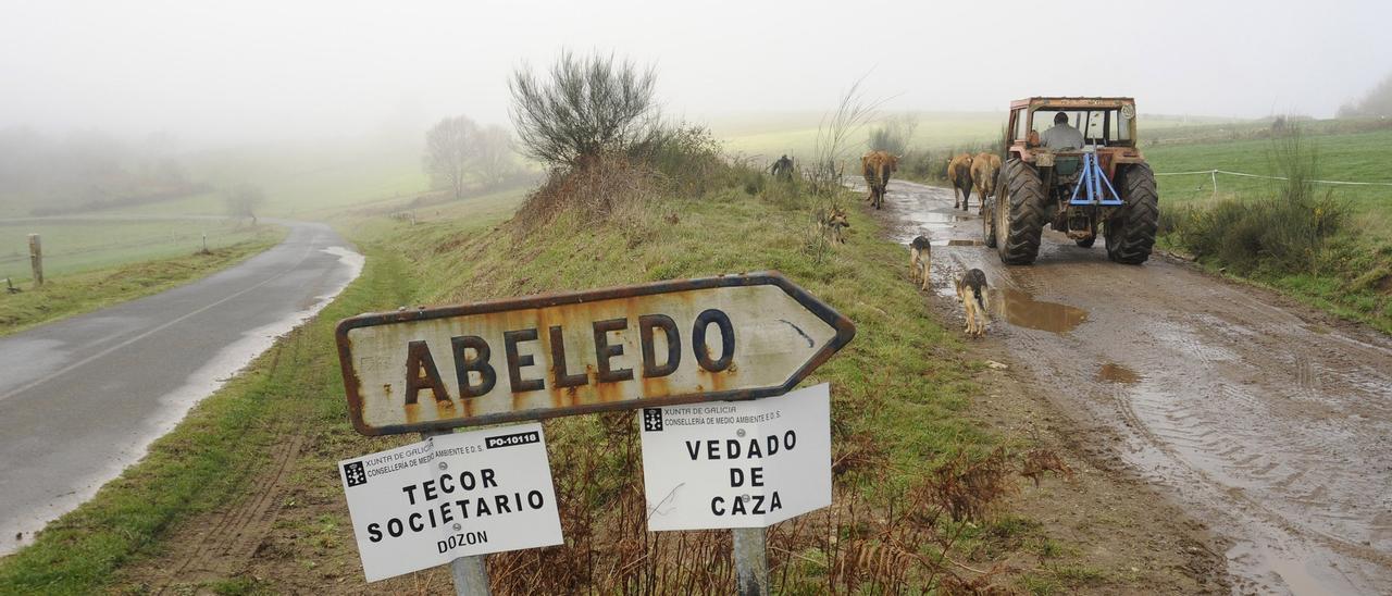 Vista de uno de los montes de Dozón.// Bernabé/Javier Lalín