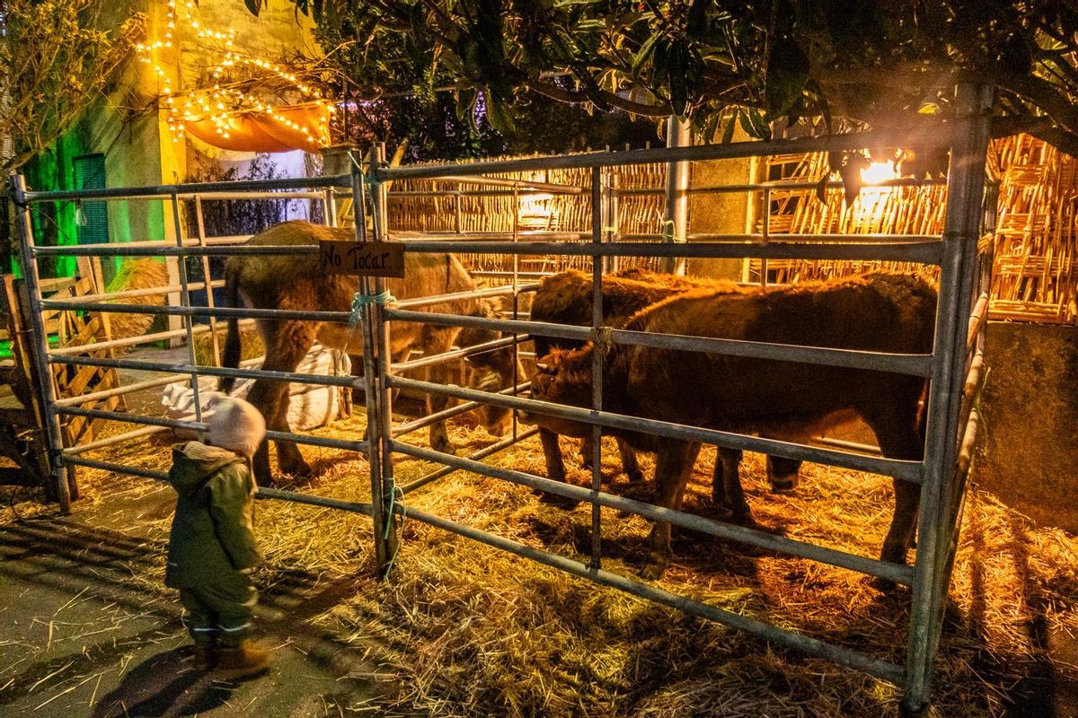 GALERÍA | Belén Viviente de Tábara 2025