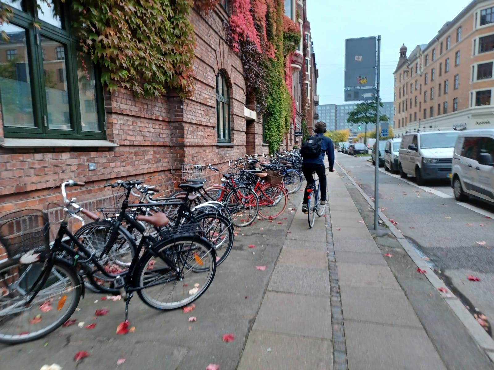 Así es Copenhague, la ciudad de las bicicletas en la que se fija Siero para su estrategia de movilidad