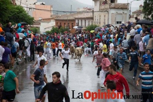 Cuarto encierro Feria del Arroz 2015, Calasparra