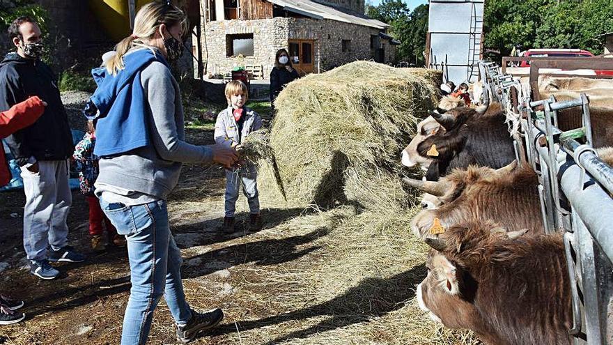 Visitants alimenten vedells de la granja de cal Gintó, a Mosoll, ahir