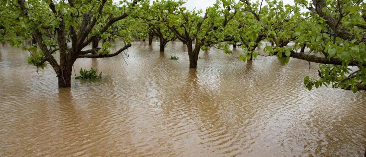 Campos inundandos en Massalavés por las lluvias.  | PERALES IBORRA