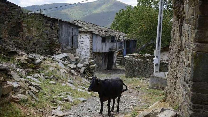 Santoalla, la aldea de montaña donde Martin y Margo se establecieron en 1997. // Brais Lorenzo