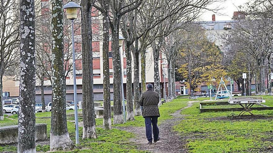 Alguns dels arbres que s&#039;eliminaran a la zona de St. Ponç.