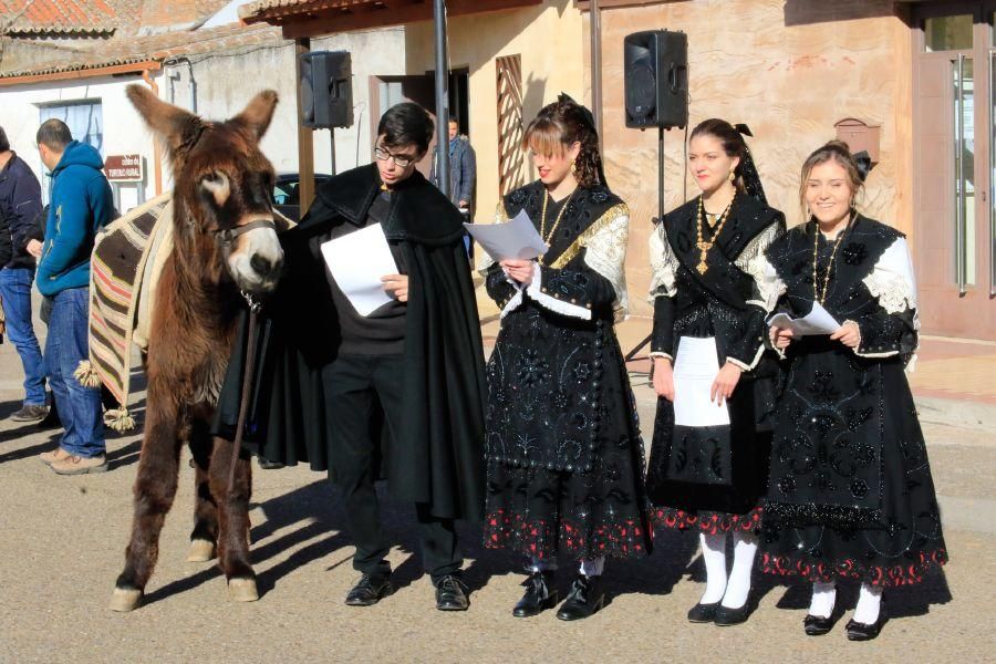 Monfarracinos celebra San Antón