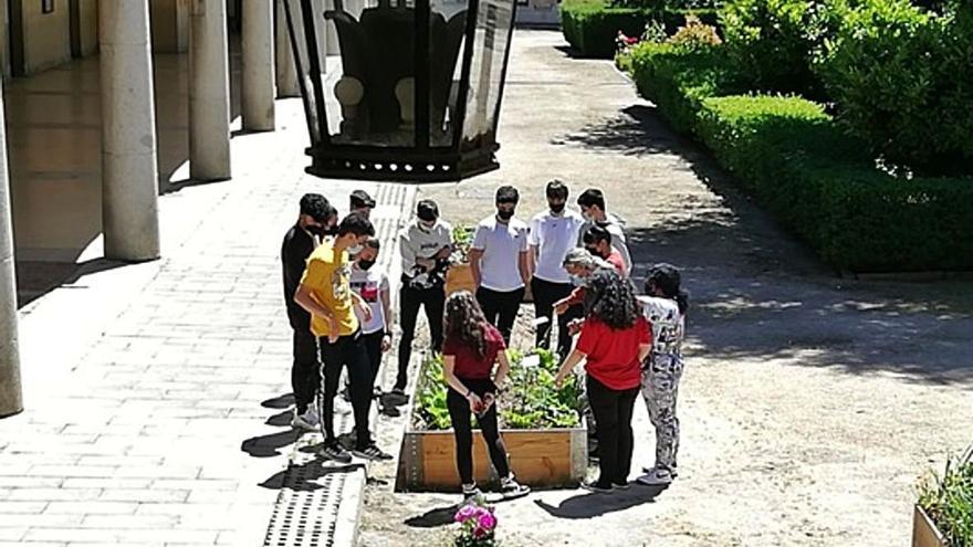 Un grupo de alumnos del IES Universidad Laboral trabaja con su profesor sobre uno de los bancales montados en el patio.