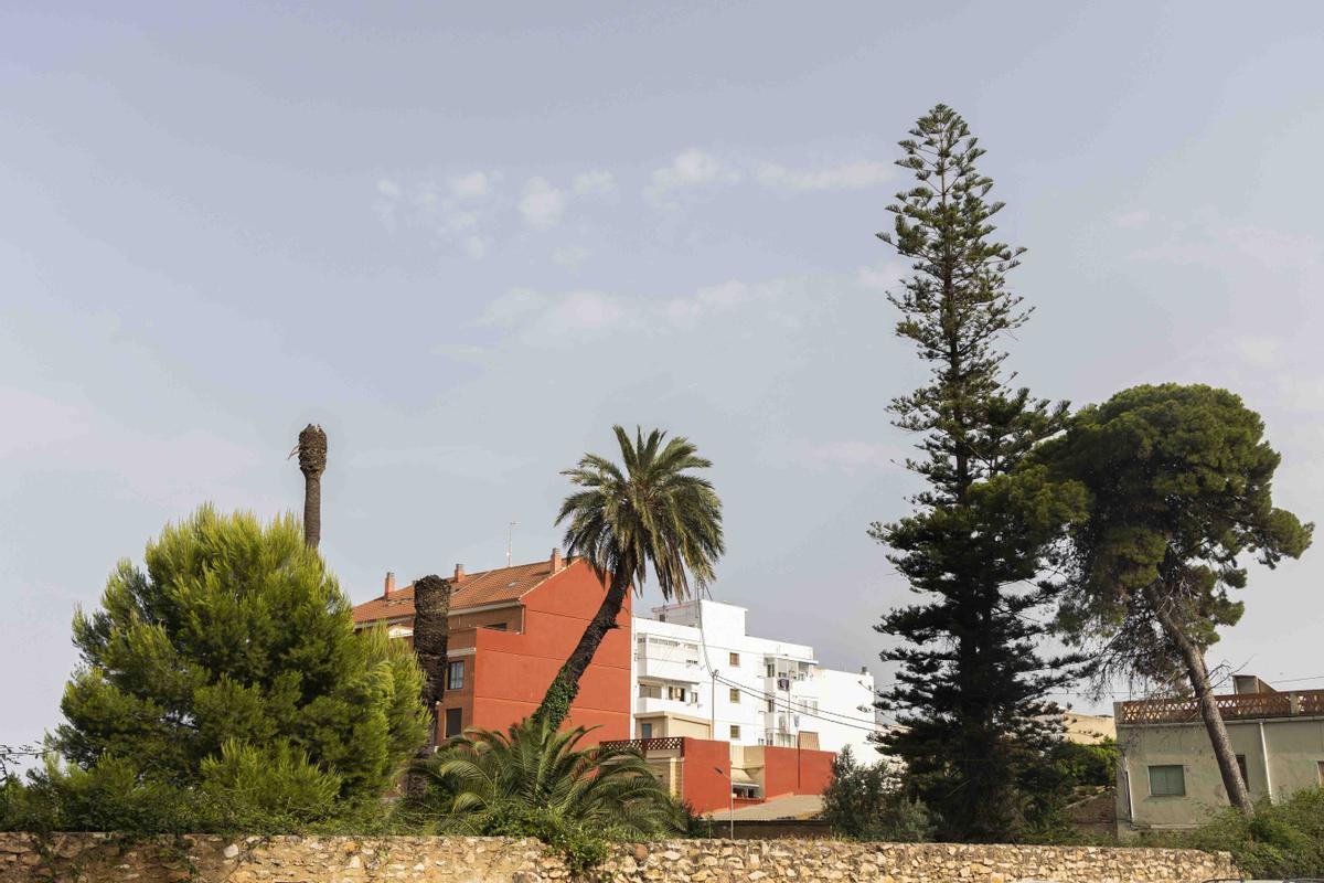 Benifaraig, 988 habitantes, 1.423 km²