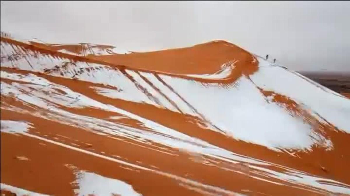 Les dunes del desert algerià es tenyeixen de blanc per la neu
