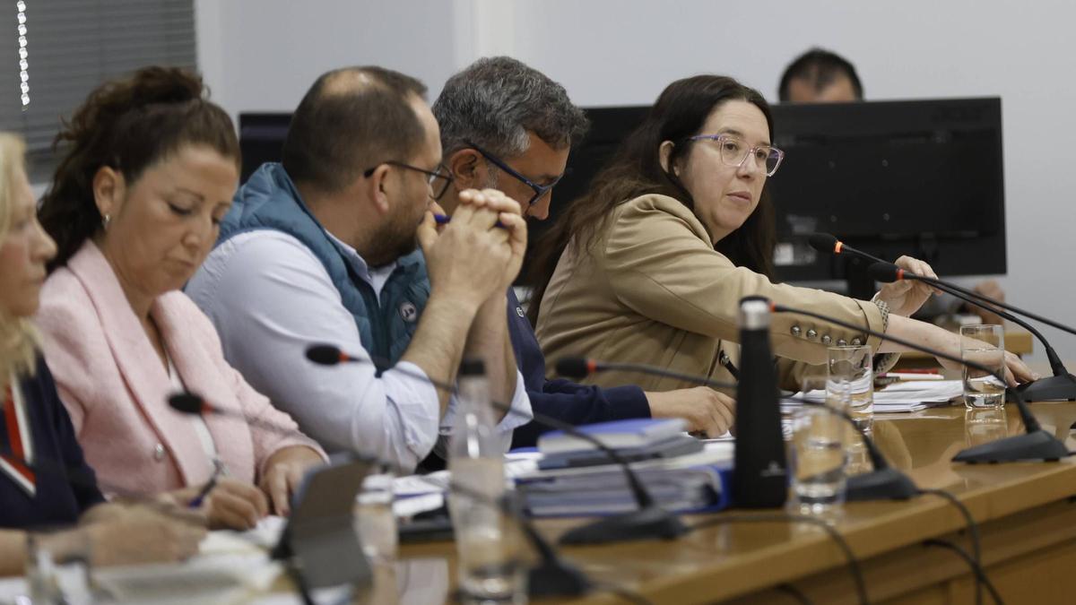 Concejales del PP de Castrillón