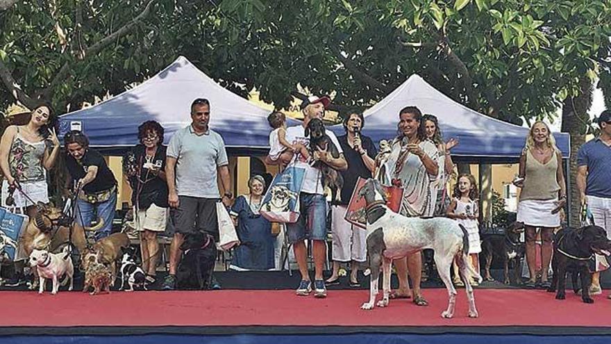 Los perros junto a sus dueÃ±os en un  momento del  concurso canino.