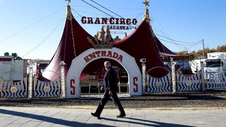 Primera Navidad sin animales en  el circo Alaska