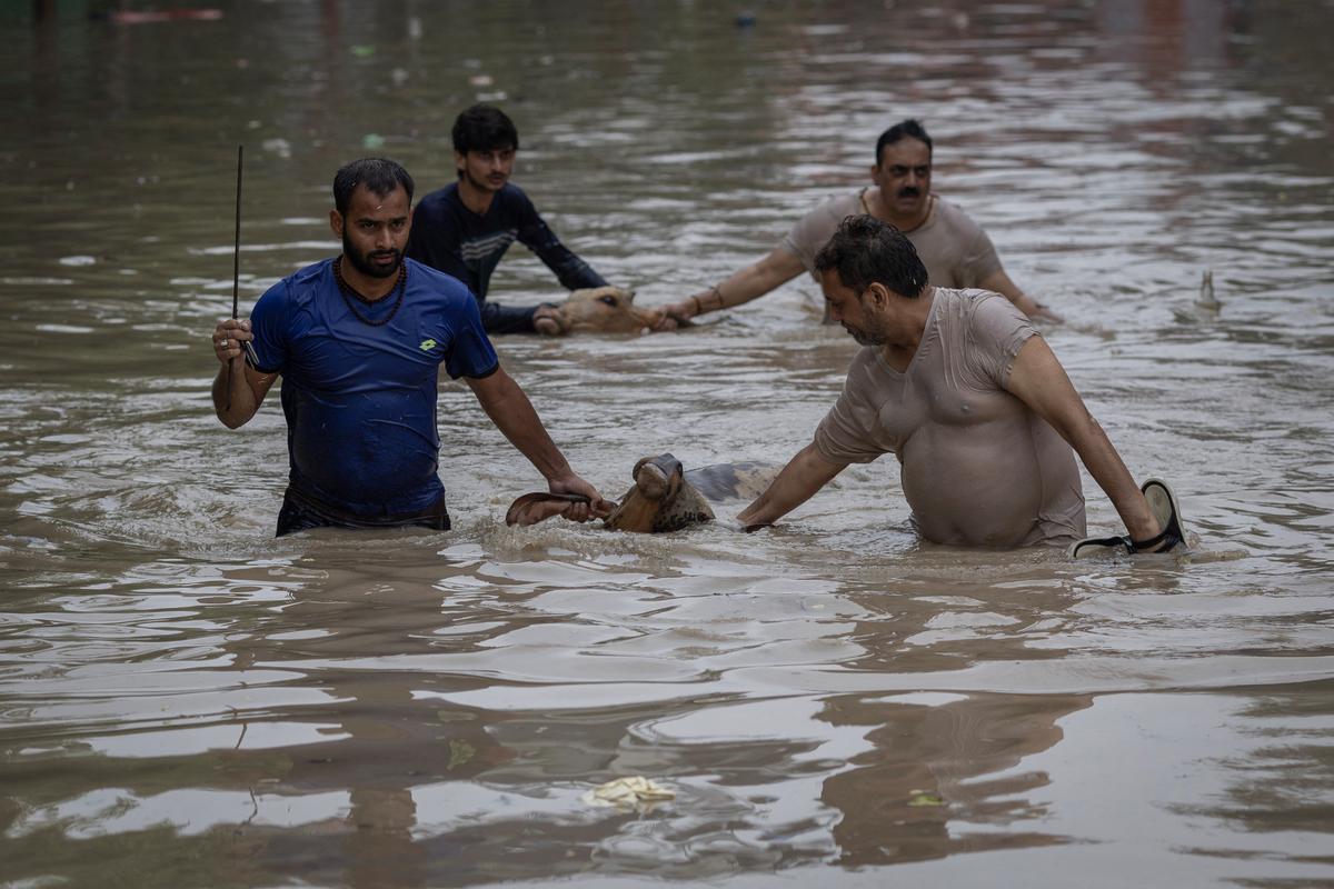 El aumento del nivel del agua del río Yamuna después de las lluvias monzónicas en Nueva Delhi.