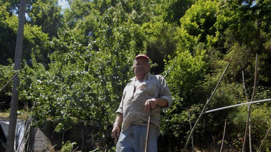 José Joaquín Álvarez, en su huerta de El Bescón.