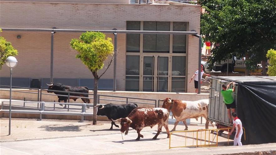 ¿Qué paso durante las más de dos horas de tensión tras escaparse los 6 toros del encierro de la Vall?