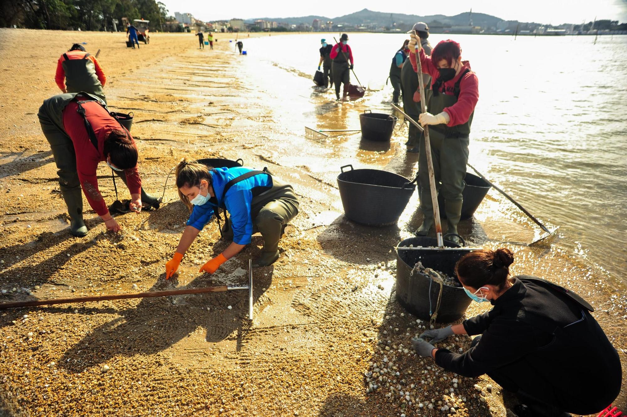 Las mariscadoras de Carril, al rescate de bivalvos en la playa de Compostela