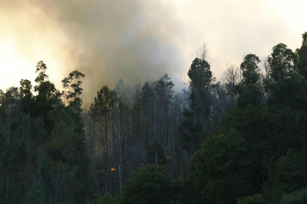 El monte arde en Covelo