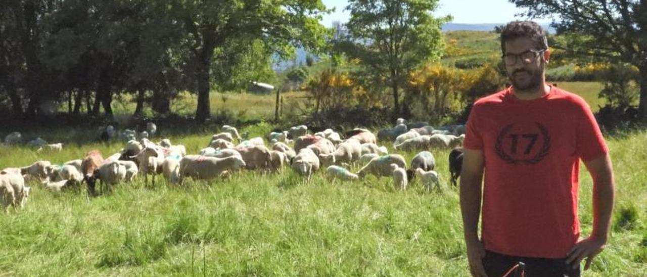Xoán González, en su explotación de A Ciruxana, donde tiene 370 ovejas que viven de forma permanente sobre el raso.   | // FERNANDO CASANOVA