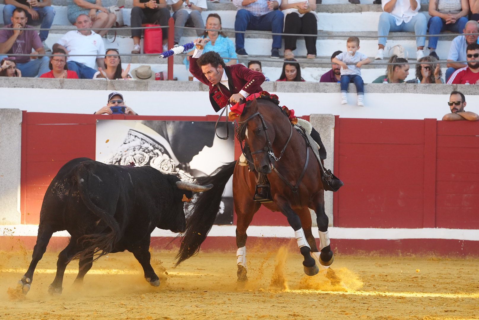 La corrida de rejones en Pozoblanco, en imágenes