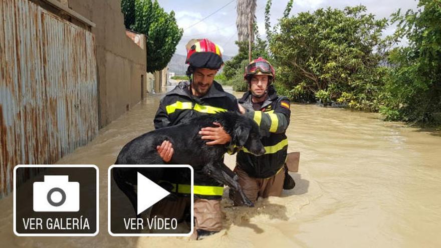 Los otros afectados por la DANA