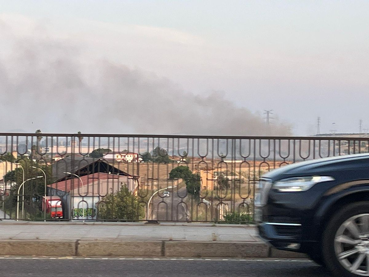 Incendio de pastos en la capital extremeña, ayer por la tarde.