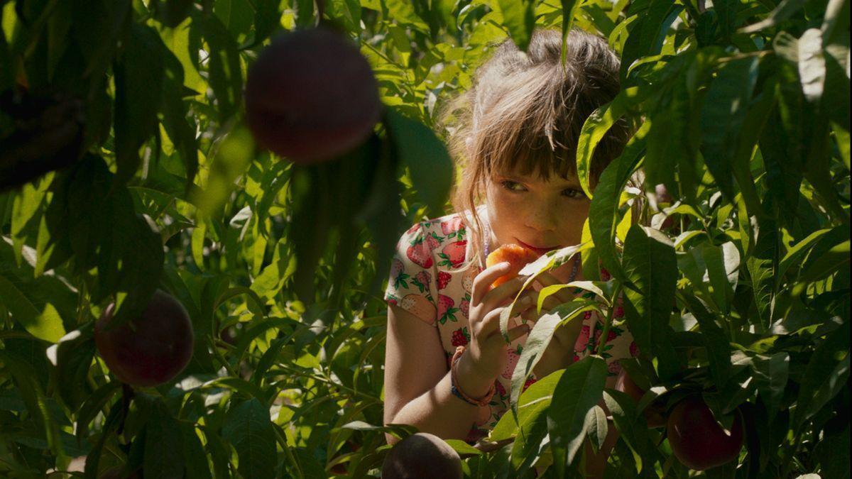 Fotograma de ’Alcarràs’, de Carla Simón.