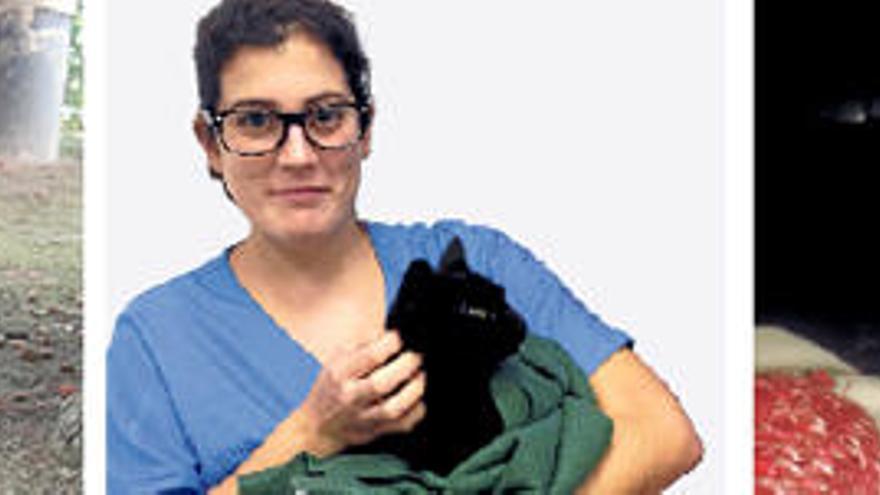 Alles wird gut: Die Katze Gumersinda nebst Dr. Canoura