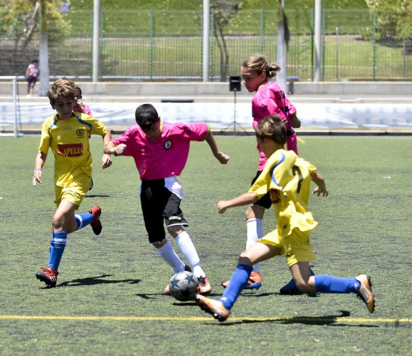 Partidos del Torneo Alevín en Maspalomas