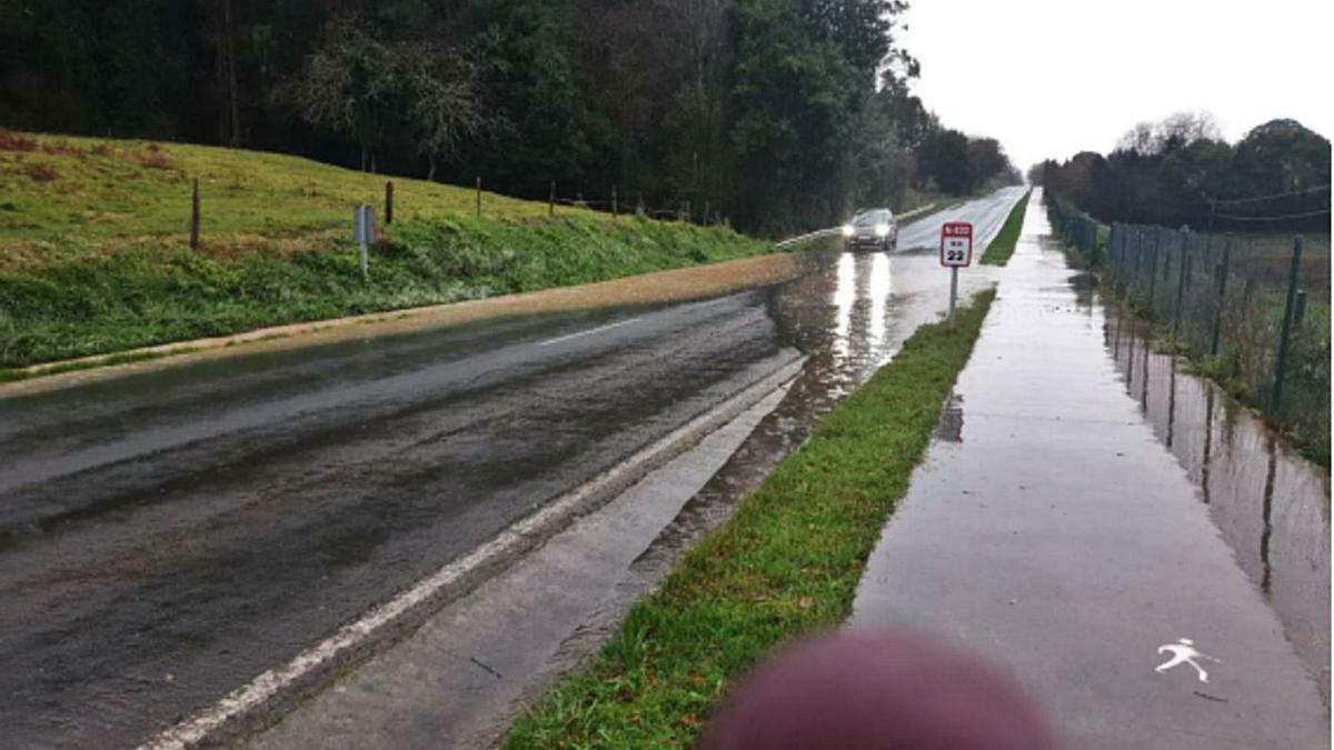 Una imagen de la carretera, inundada por la falta de limpieza de sus arcenes. | Rep. E. S. R.