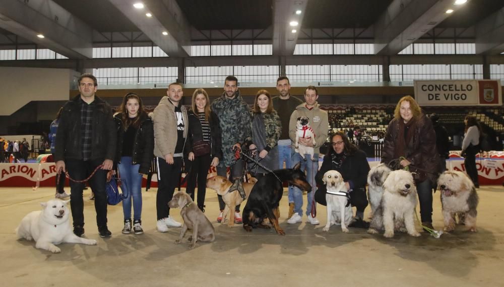 La exposición canina vuelve a contagiar la fiebre perruna en Vigo