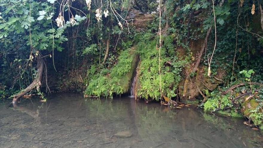 Los bomberos rescatan a una vaca que cayó en una zanja cerca del arroyo del Bejarano