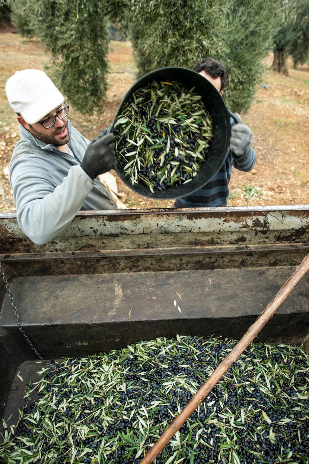 Recogida de la aceite