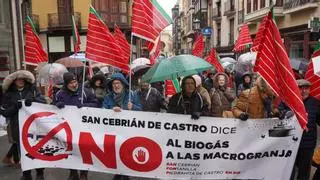 Diez pueblos impulsan la nueva federación "Zamora en pie"